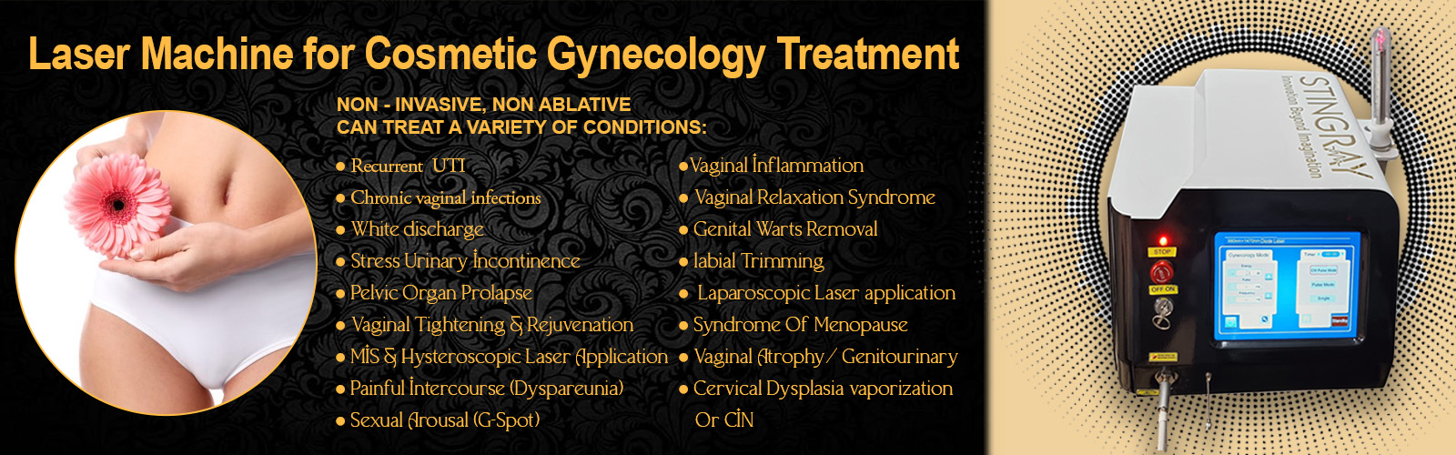 Laser Machine for Cosmetic Gynecology Treatment